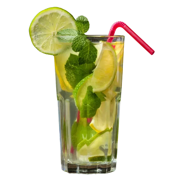 Lime Mint mojito